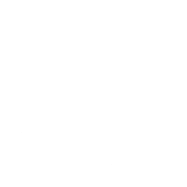 MA Commission on the Status of Women-Logo